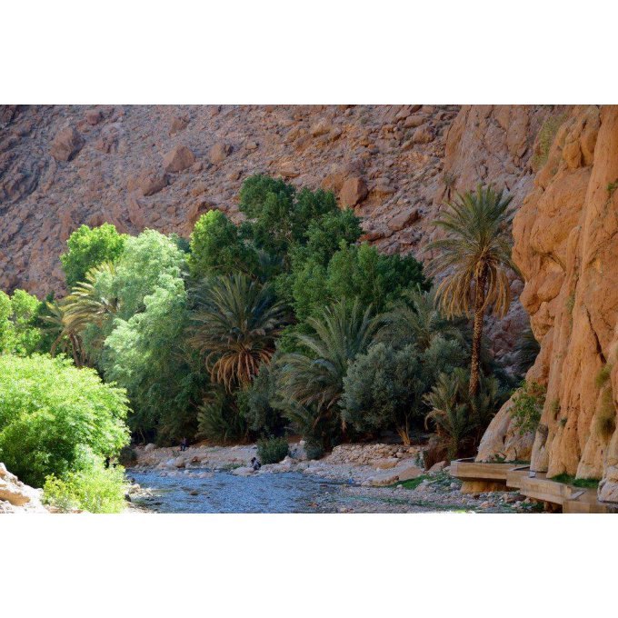 Vallée de l'Ourika